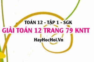 Giải Toán 12 trang 79 tập 1 Kết nối tri thức